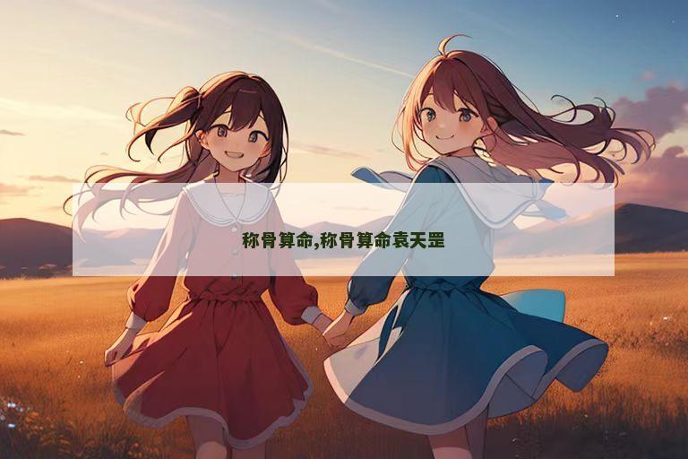 称骨算命,称骨算命袁天罡