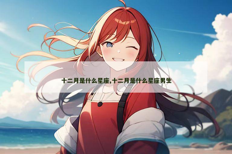 十二月是什么星座,十二月是什么星座男生